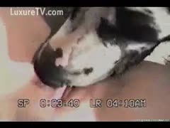 A muscular young dilettante hotwife who trades fellatio favors with a rude